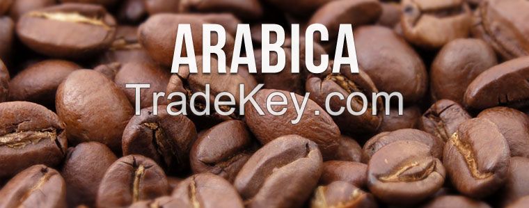 Roasted Arabica Coffee Beans