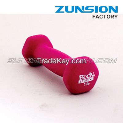 Colored Vinyl Dumbell Set