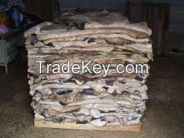 : wet salted nappa lamb/sheep skins