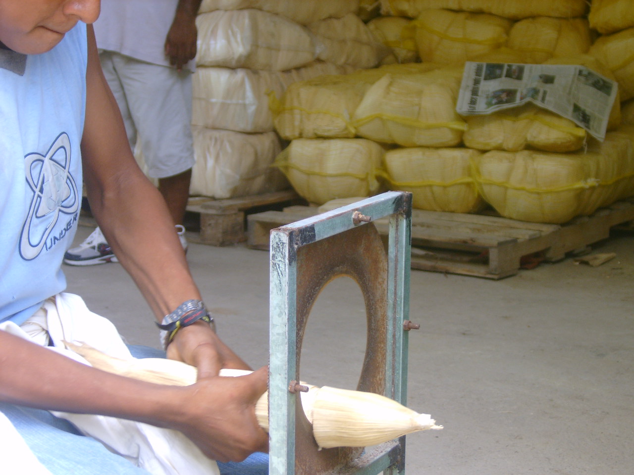 Corn Husks