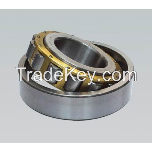 Cylindrical Roller Bearings