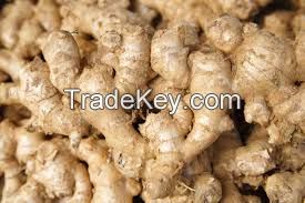 Dried split Ginger