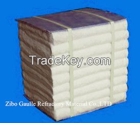 ceramic fiber module