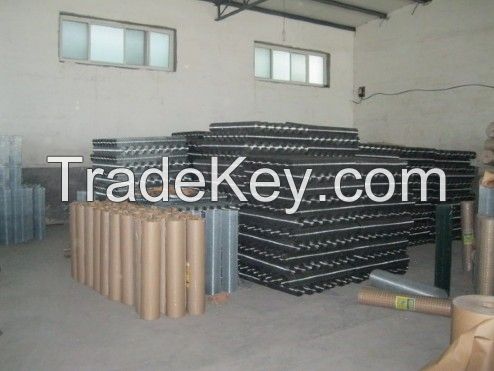 Welded Wire Mesh hot dip galvanized