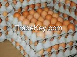 Eggs