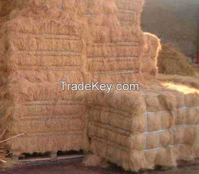 coir fiber