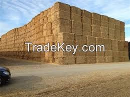 wheat straw , rice husk , alfalfa , 