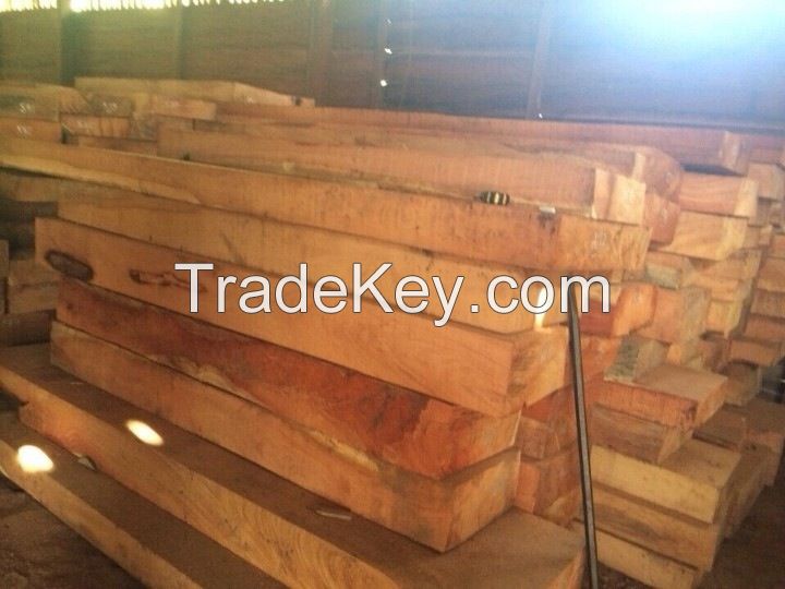 CAMWOOD, ROSEWOOD, DOUSSIE AND DALBERGIA FROM LAOS WITH NET PRICE 