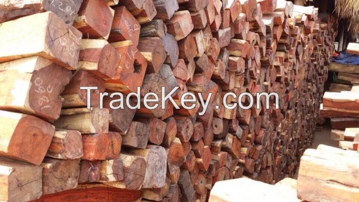 CAMWOOD, ROSEWOOD, PADOUK, DALBERGIA, DOUSSIE FROM LAOS AND CAMBODIA WITH CHEAPEST PRICE