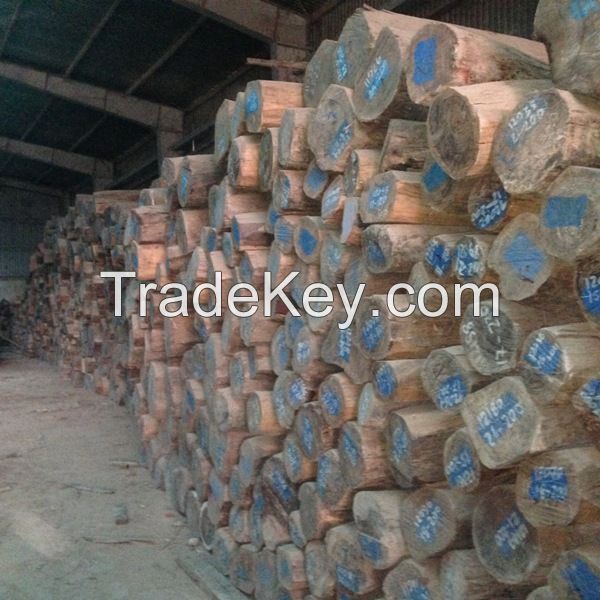 CAMWOOD, ROSEWOOD, PADOUK, DALBERGIA, DOUSSIE FROM LAOS AND CAMBODIA WITH CHEAPEST PRICE