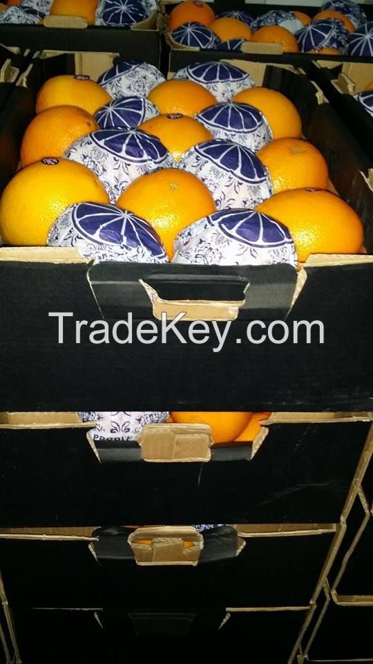 Navel Oranges