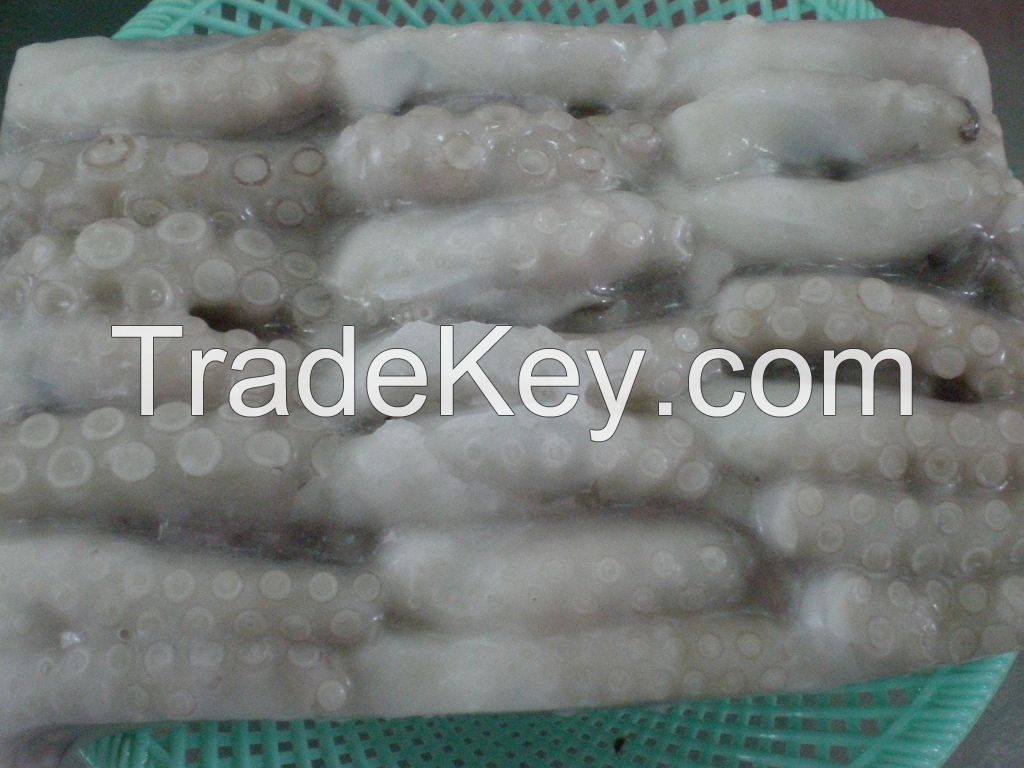 Frozen Squid cuts