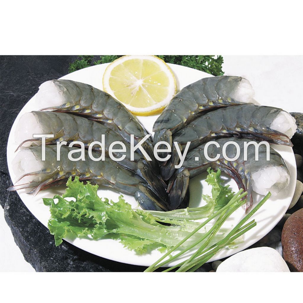 Frozen  HLSO black tiger shrimp