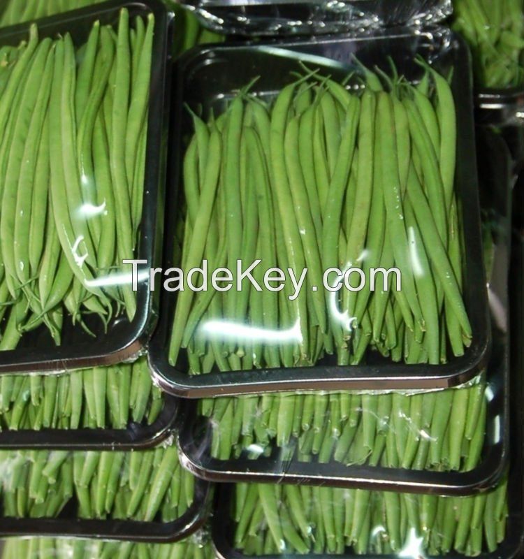 Egyptian Fresh Green Beans