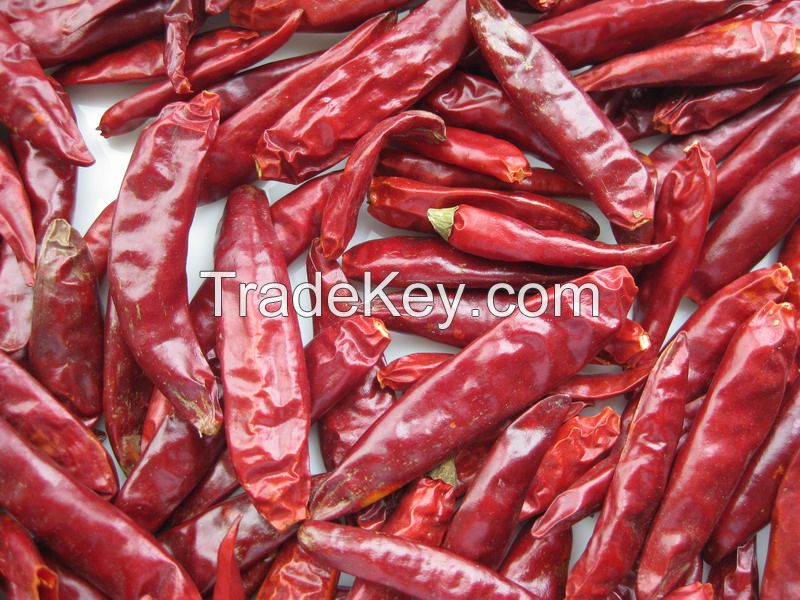 China Good Quality Chaotian Chili