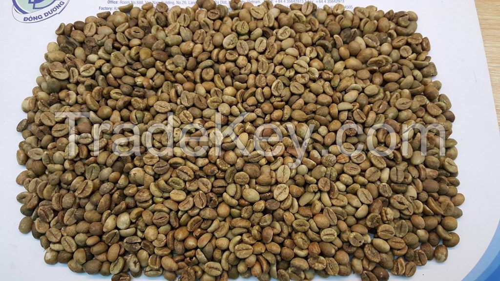 Robusta Coffee Bean for exporting