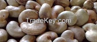 Dried Raw Cashew Nuts