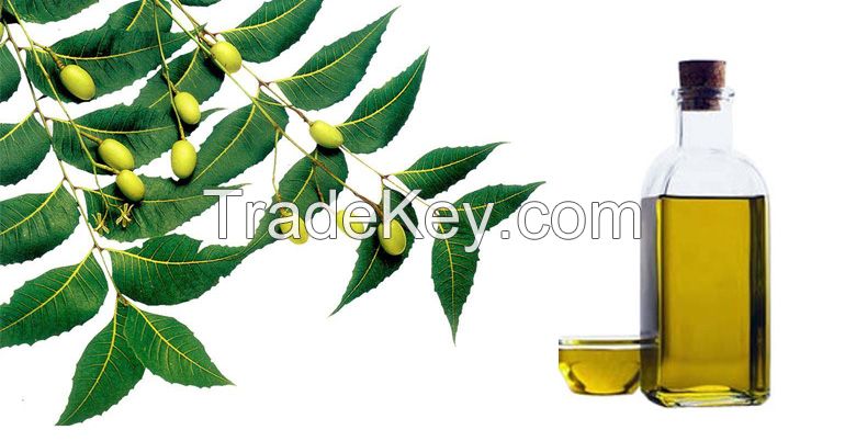 neem oil and neem kernel cake Cashew nut shell oil indian herbs