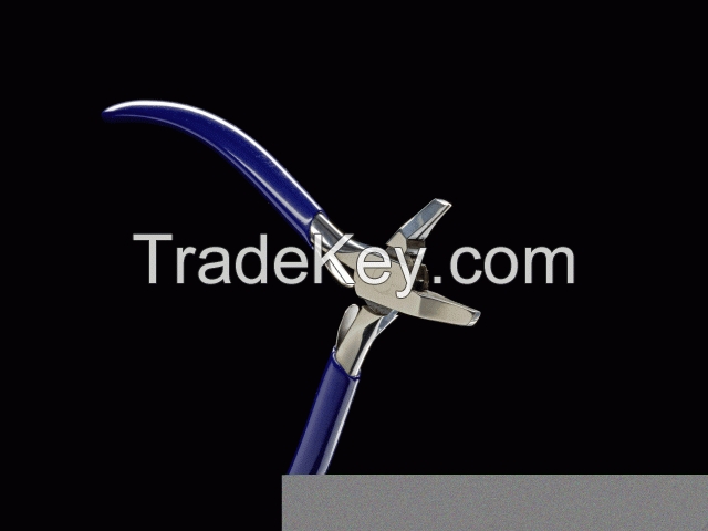 Stone setting plier