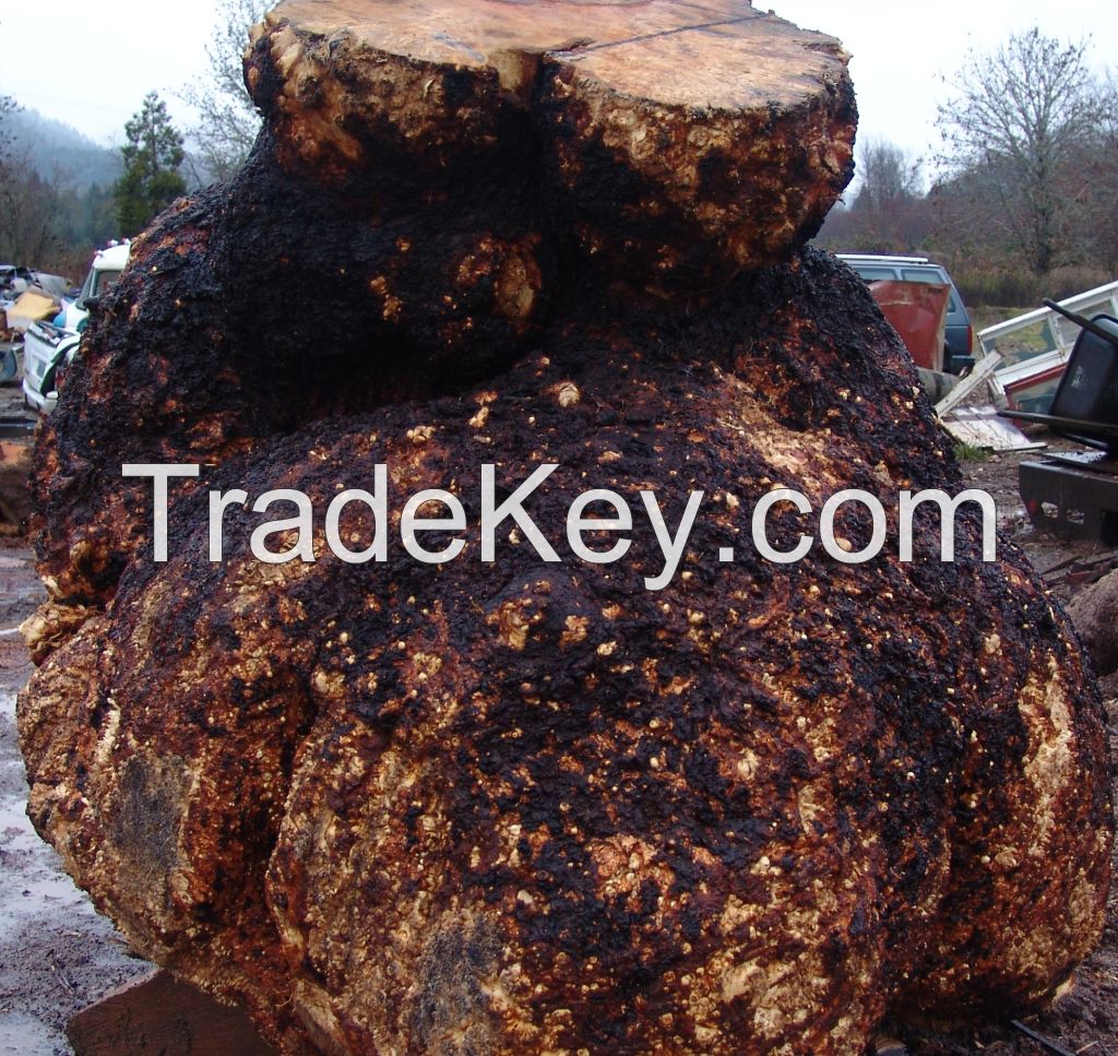 Burl logs