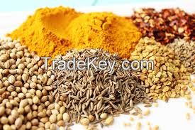 Spices Powder