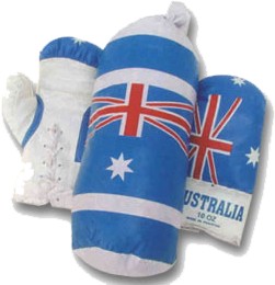 Boxing Training Set