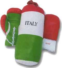 Boxing Training Set