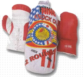 Boxing Training Set