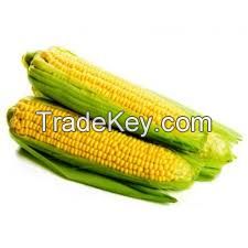 Yellow Corn