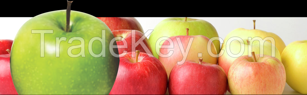 High Quality Fresh Apples for sale.