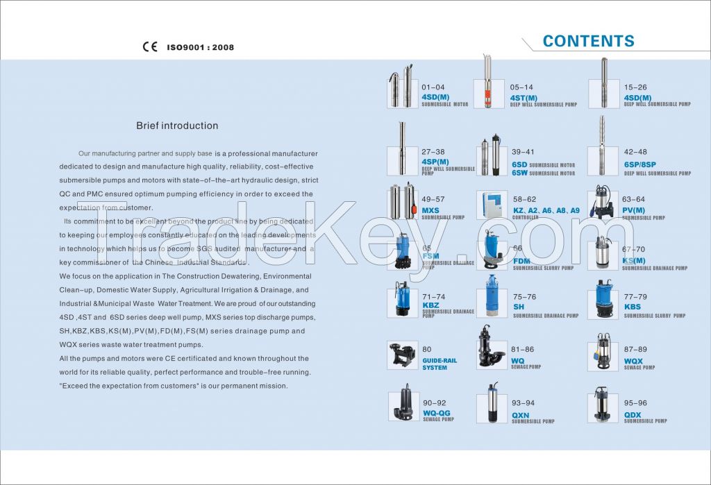 Submersible Pump