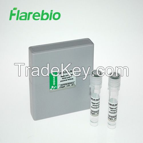 FABP3 antibody Biotin conjugated