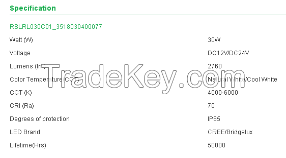 Renesola 30W LED Solar Street Lighting fixture