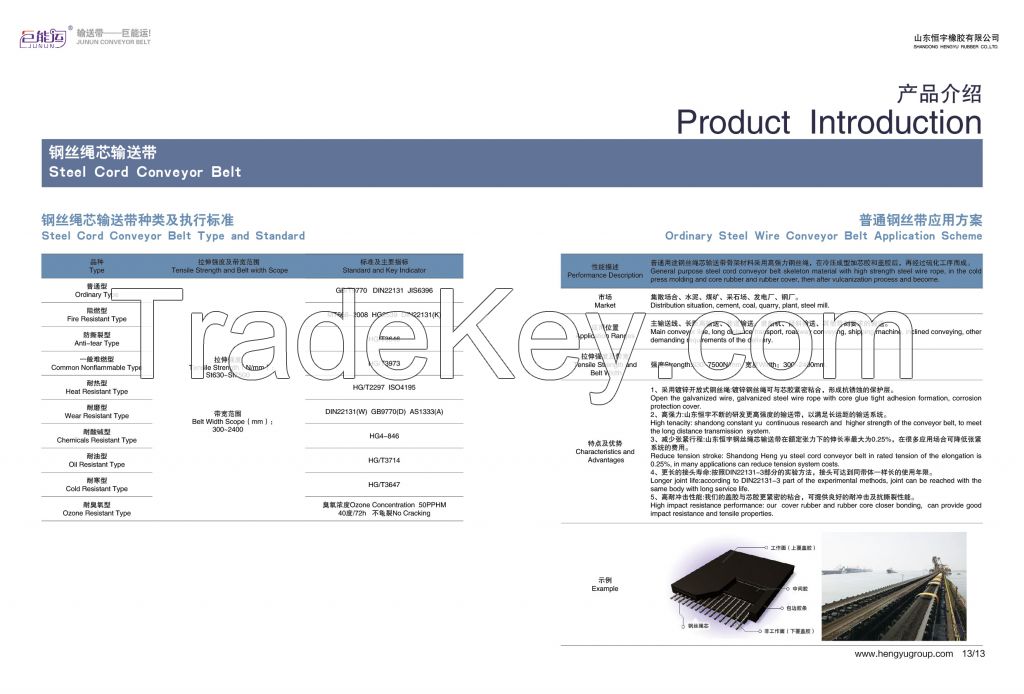 Steel cord conveyor belt