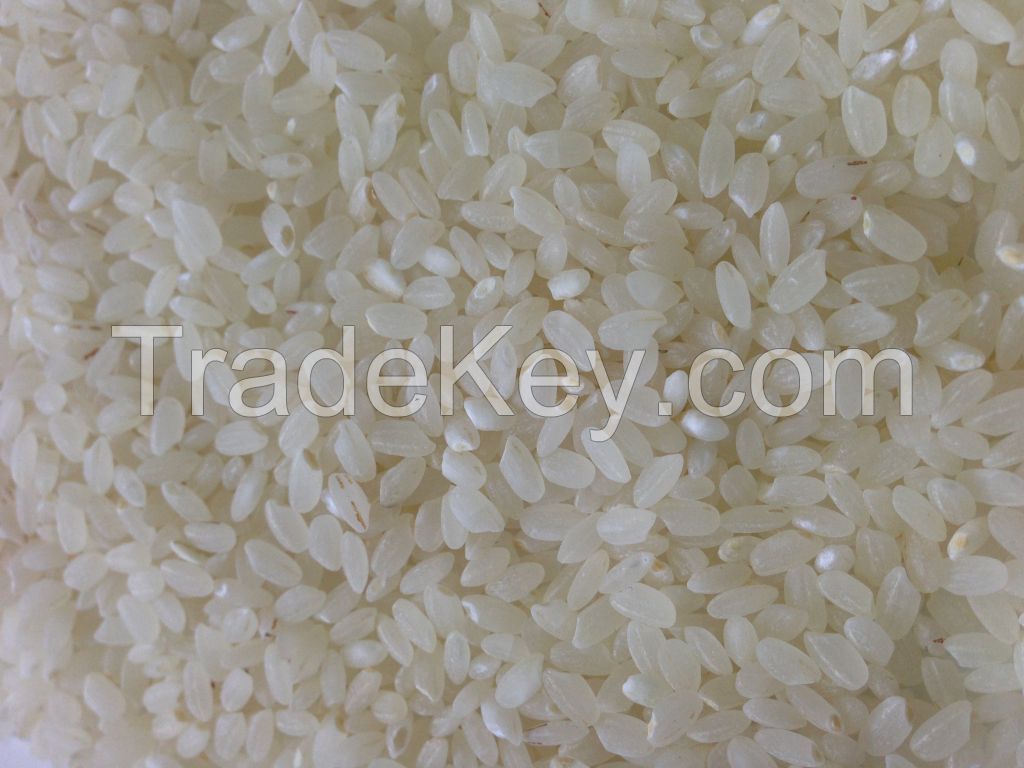 Round grain rice