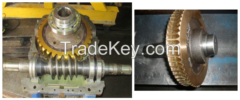 Worm Gear