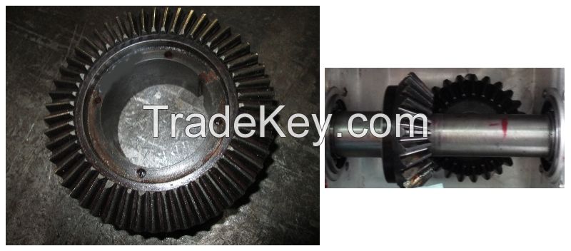 Bevel Gear