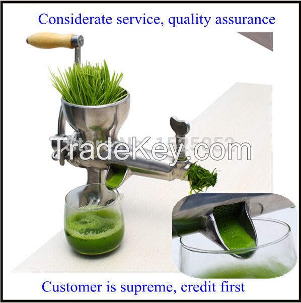 manual stainless steel juicer