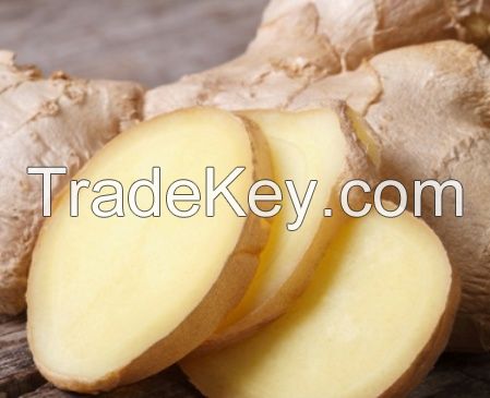 Ginger Oil