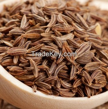 Cumin Oleoresin