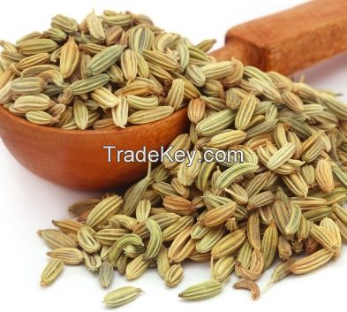 Fennel Oleoresin