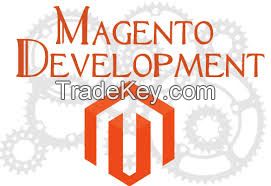 Magento Development