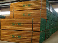 America Black Walnut Lumber