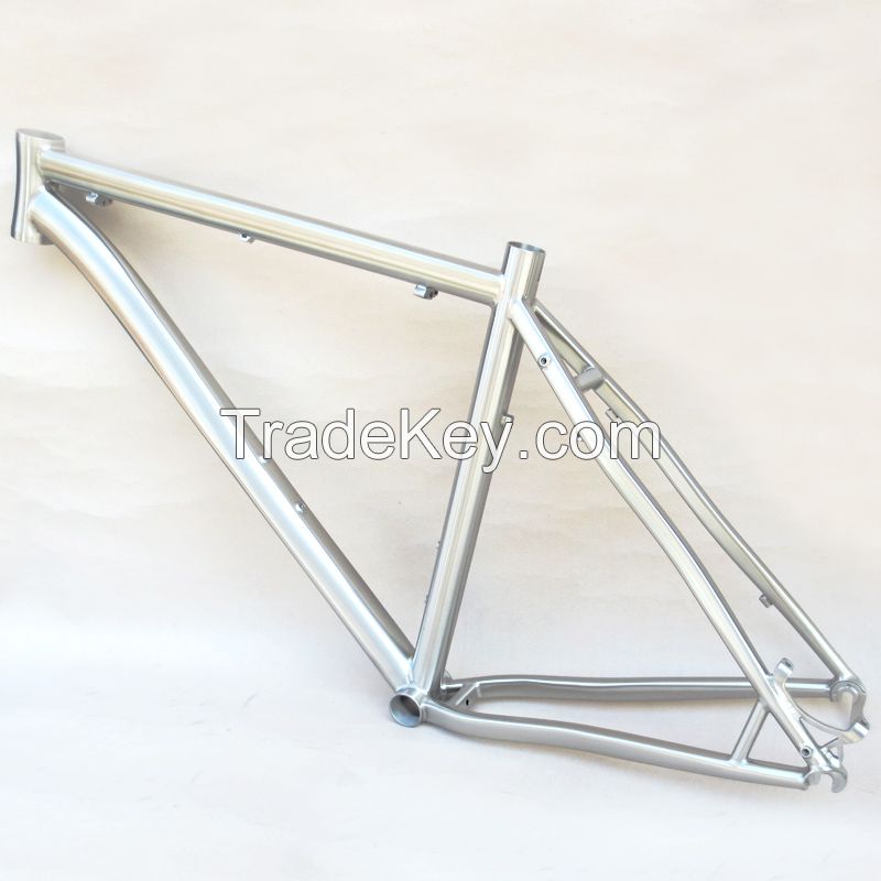 Titanium bike frame