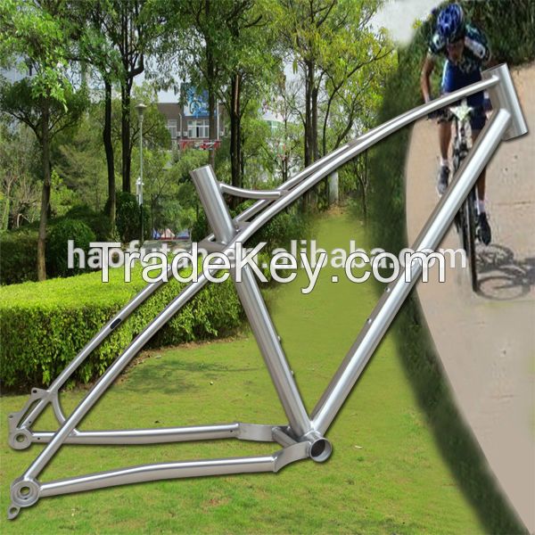 titanium bike frame