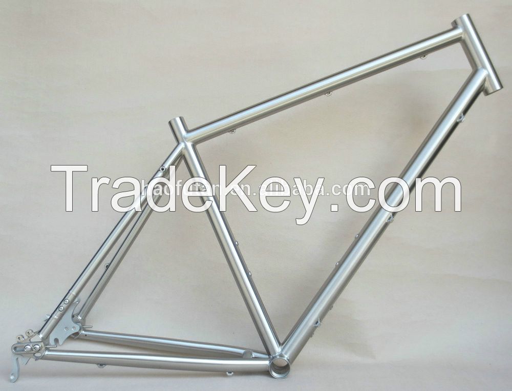 suspension 29er MTB bicycle frame