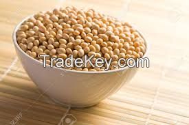 Refined Soy Bean Oil 100% Refined Soybean Oil in bulk Sale