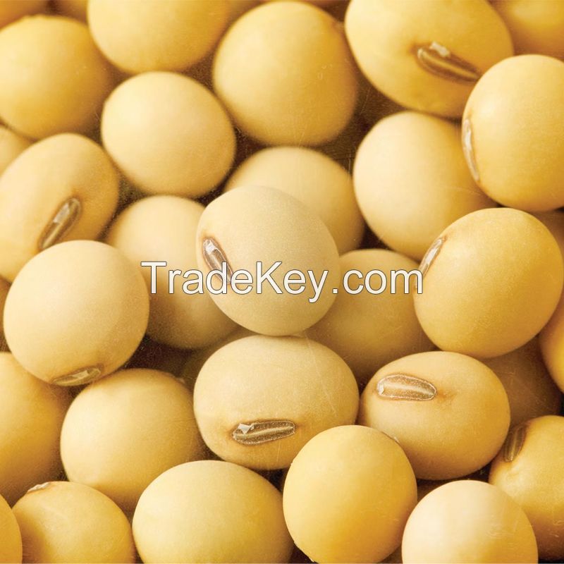 High Quality Non GMO Yellow Soybeans