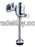 delayed time hand control flush valve