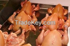 Whole Broiler Halal Chicken Meat &amp; Eggs